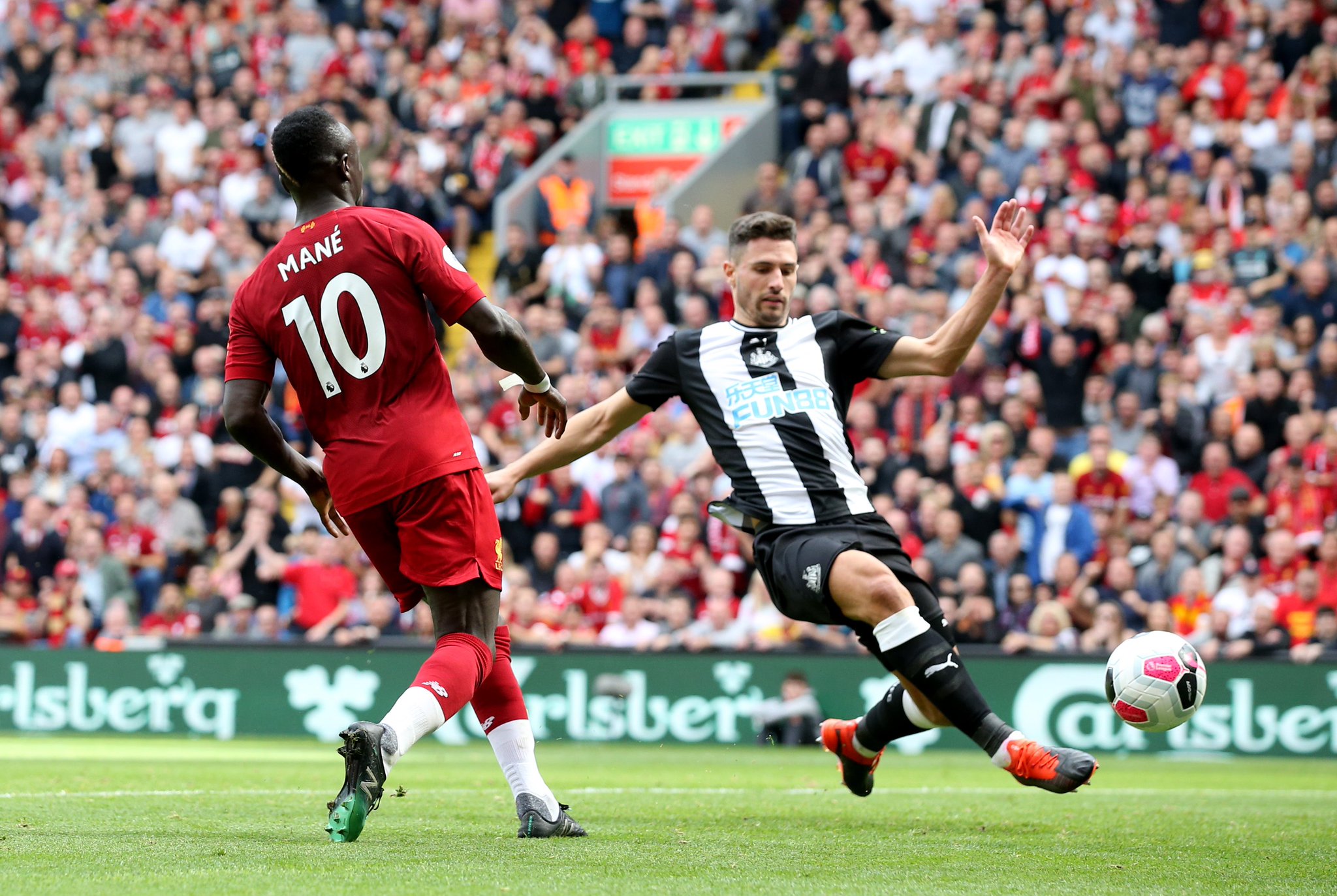 新生代的结 新生代的结